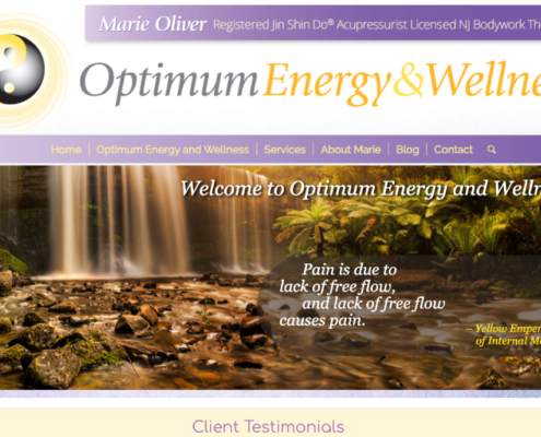 Designed by Angela Medici optimum_energy